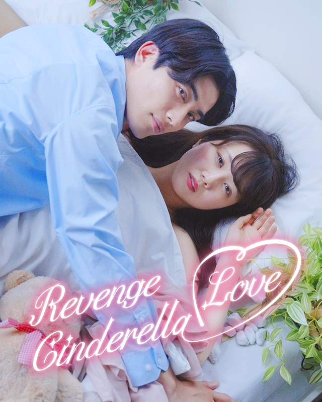 Revenge Cinderella Love poster