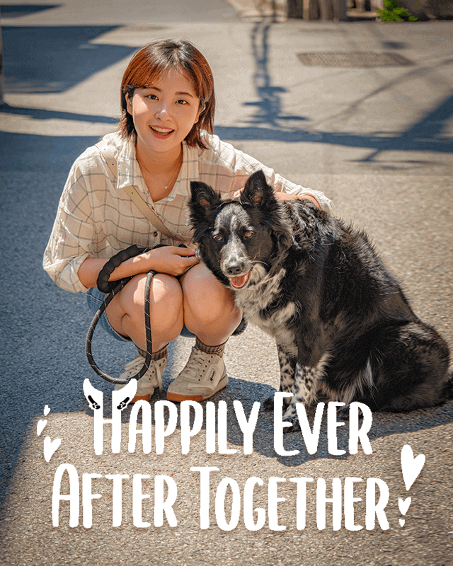 Happily Ever After Together poster