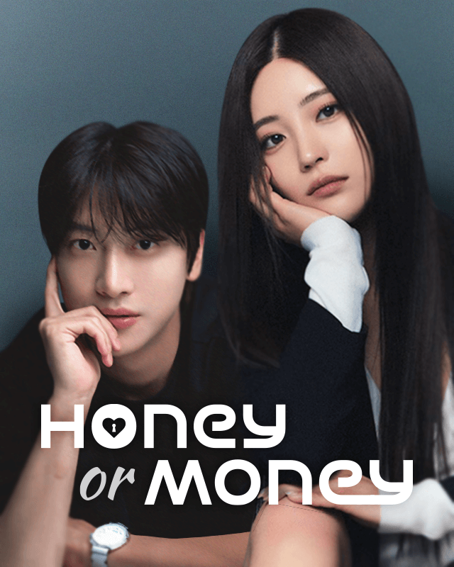 Honey or Money poster