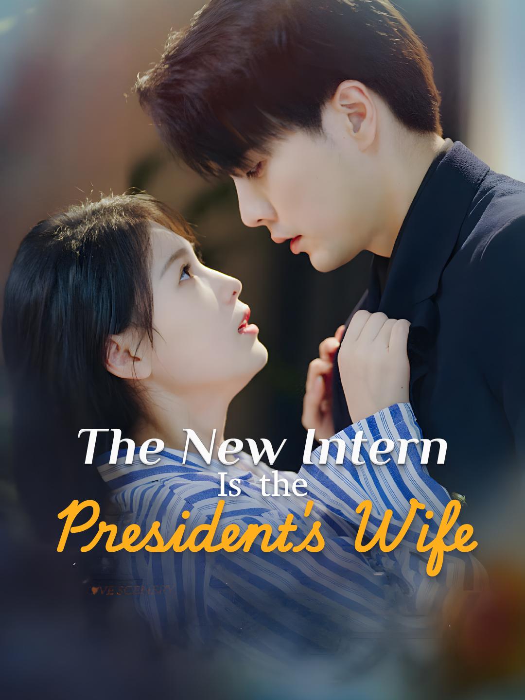 The New Intern Is the President's Wife poster