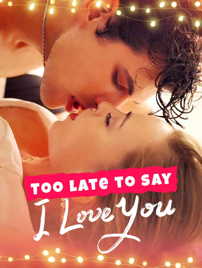 Too Late to Say I Love You poster