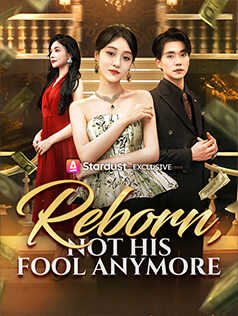 Reborn, Not His Fool Anymore poster