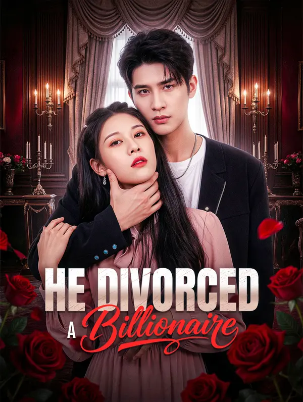 He Divorced a Billionaire poster