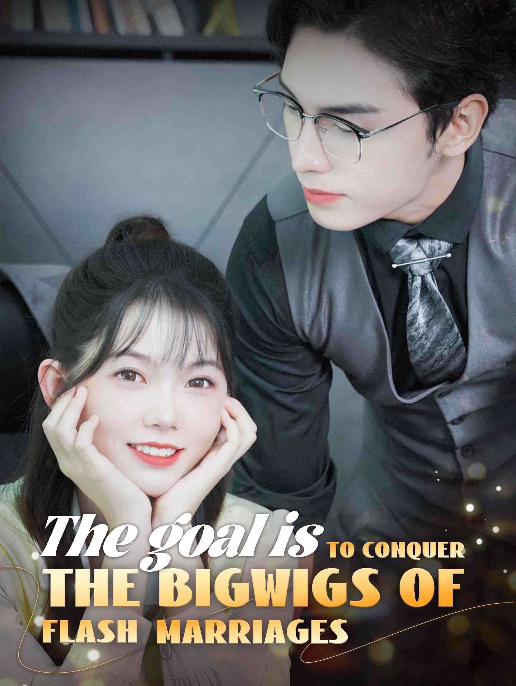 The Goal is to Conquer the Bigwigs of Flash Marriages poster