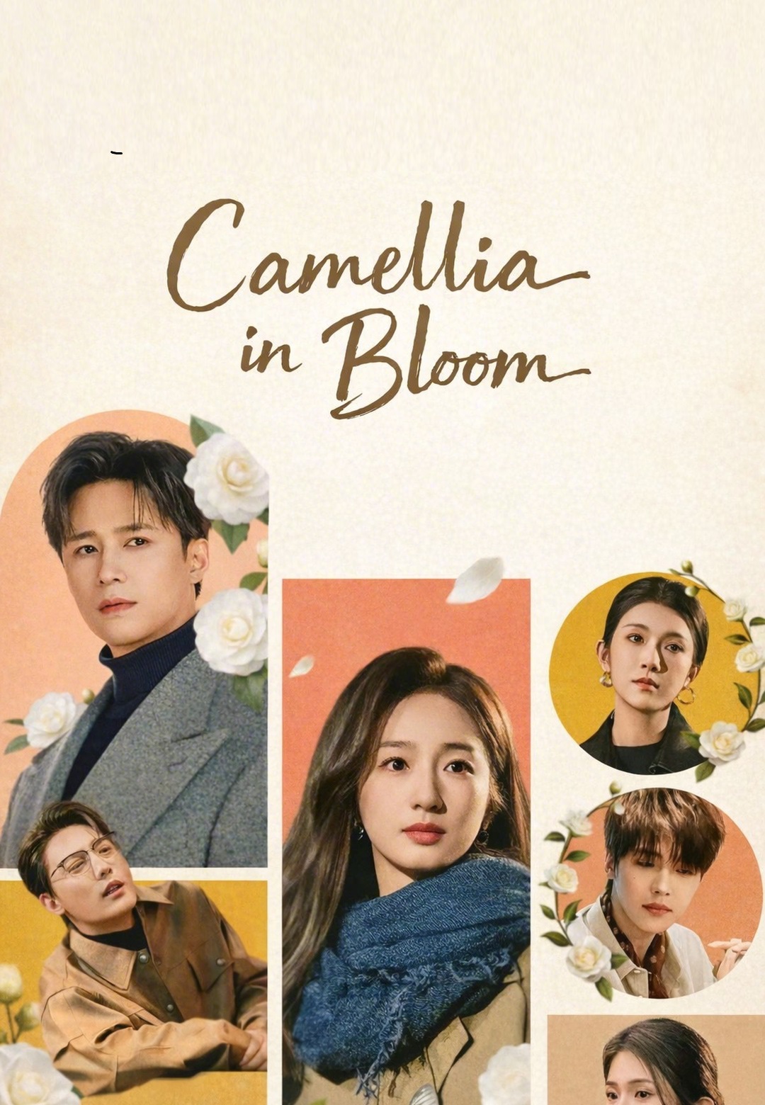 Camellia in Bloom poster