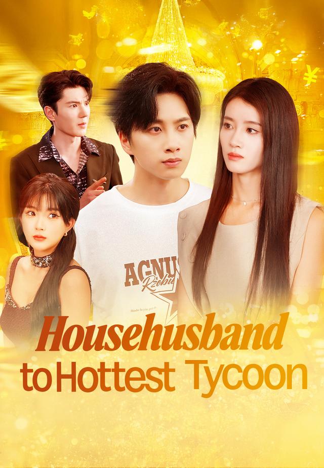 Househusband to Hottest Tycoon poster