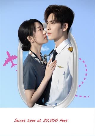 Secret Love at 30000 Feet poster