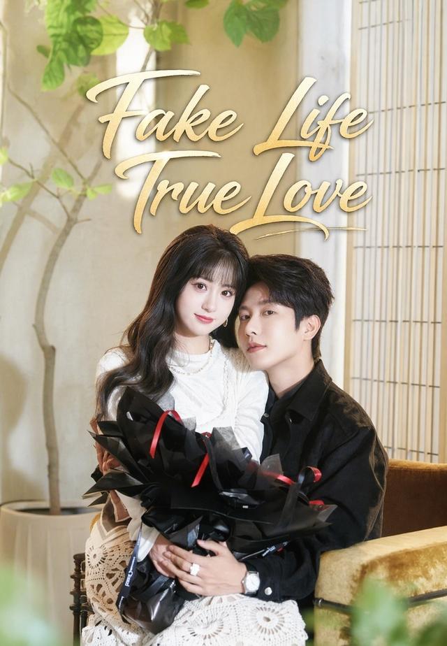 Fake Life True Love poster