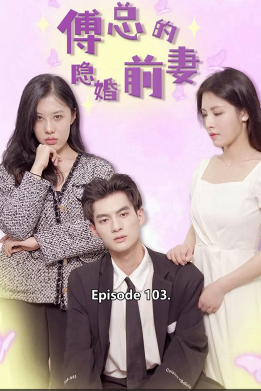 The Secret Ex-Wife of Mr. Fu poster