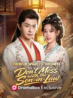 From Despair to Triumph, Don't Mess with the Son‑in‑Law poster