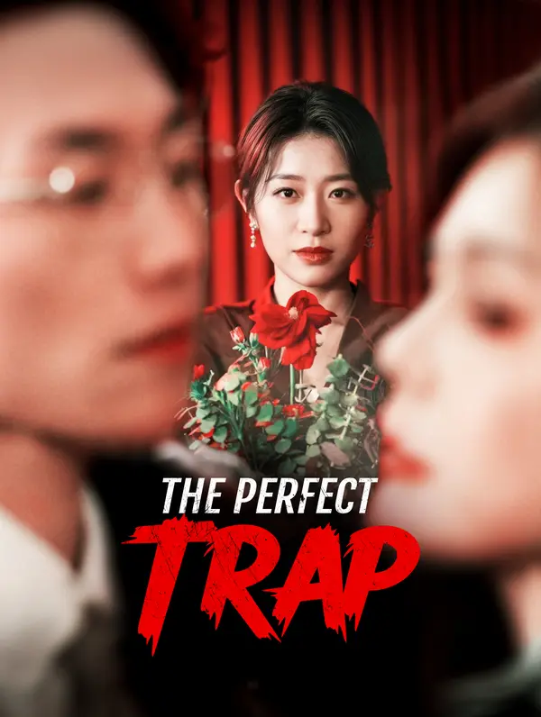 The Perfect Trap(Dubbed) poster