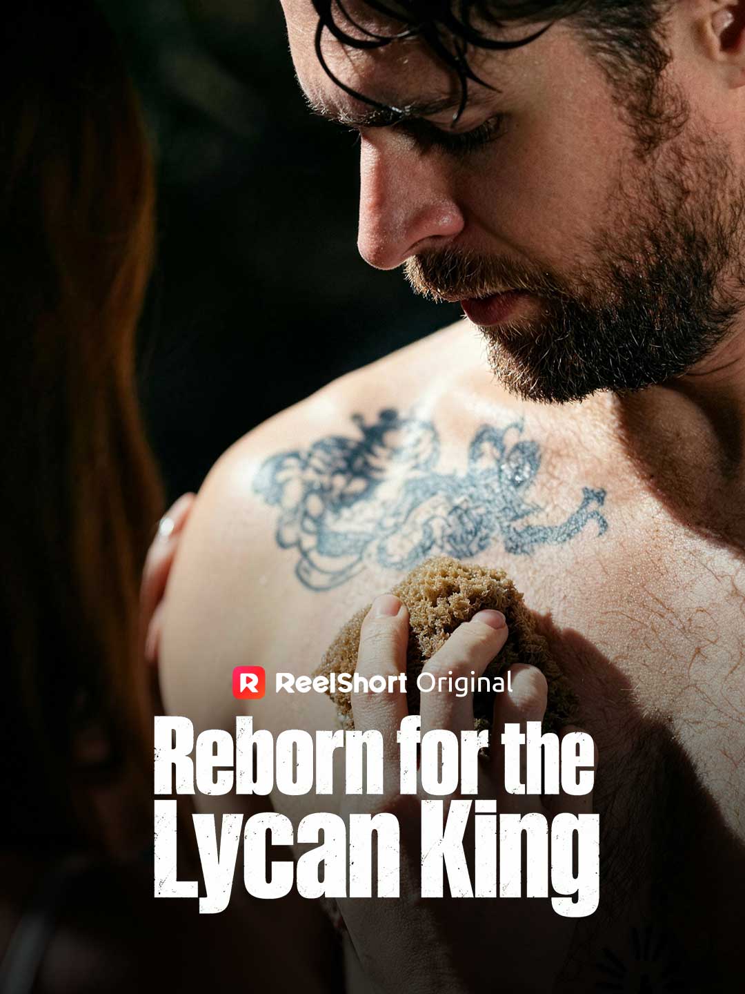 Reborn for the Lycan King poster